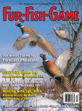 December 2004 pheasant