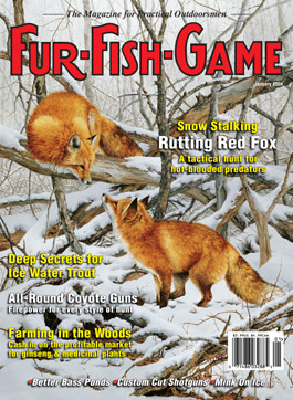 January 2004 Fox