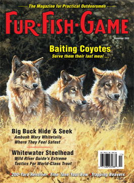 November 2005 Coyotes