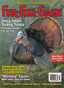 March 2009 Cover - Turkey