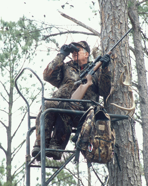 Treestand hunting