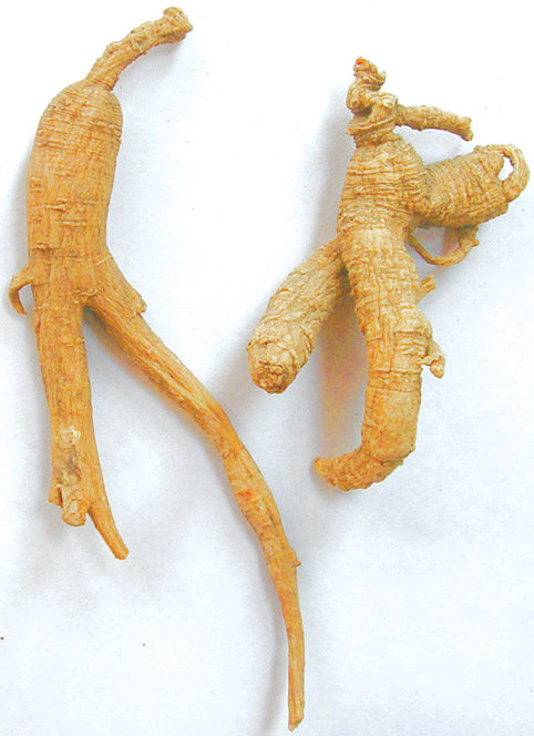 Woods Simulated Ginseng Root
