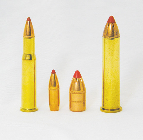 .30-.30 and .45-70 with leverevolution tip
