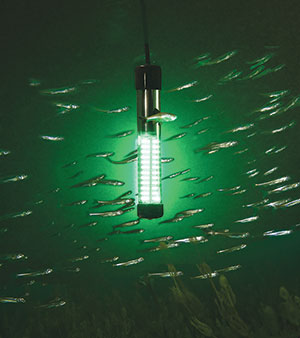 Aqua-Vu Bio-Lume portable submersible fish-attracting light