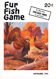 November 1955 turkeys