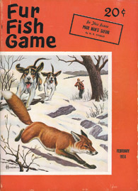 February 1956 hounds chasing fox
