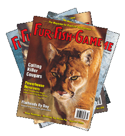 2006-fan-covers-a-cat.gif