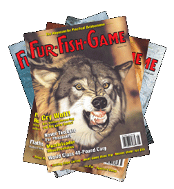 2006-fan-covers-a-coyote.gif