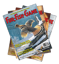 2006-fan-covers-a-quail.gif