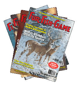 2006-fan-covers-a.gif