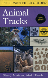 Animal-Tracks.gif