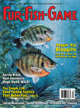 BackIssues/2005/April2005Cover.jpg