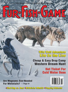 BackIssues/2005/February2005Cover.jpg