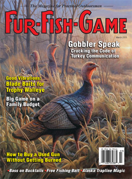 BackIssues/2005/March2005Cover.jpg