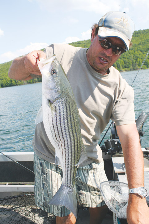 How to Use Planer Boards with Striped Bass Fishing Lures - Shore