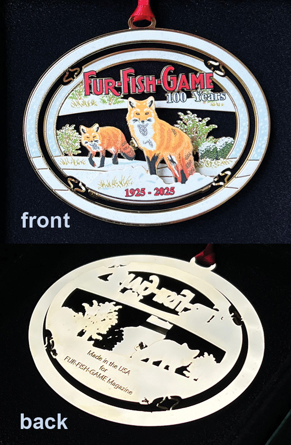 Fox-front-back