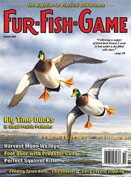 Fur-Fish-Game 2020 Issues